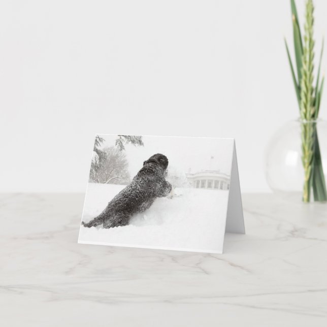 Cartão de Nota Bo Obama - Motivos Sul (Frente)