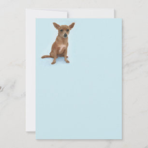Cartão de Nota Chiweenie Encantador