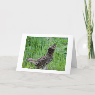 Cartão de Nota Climática Natureza