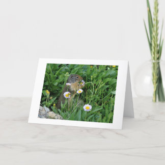 Cartão de Nota Climática Natureza