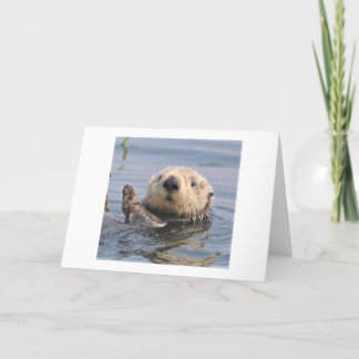 Cartão de Nota Climática Natureza