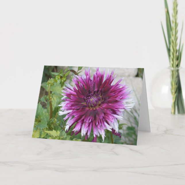 Cartão de nota com dália roxa e branca (Frente)