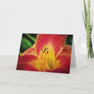 Cartão de Nota com Flor Dourado Vermelho