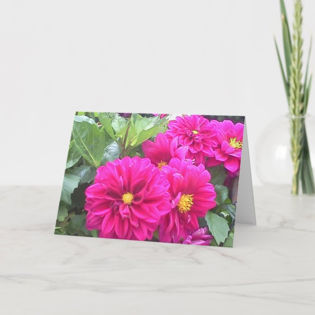 Cartão de nota com fotografia de flor púrpura (Frente)