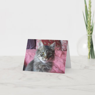 Cartão de Nota com fotografia de gatinho