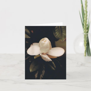 Cartão de Nota com Magnolia Blossom