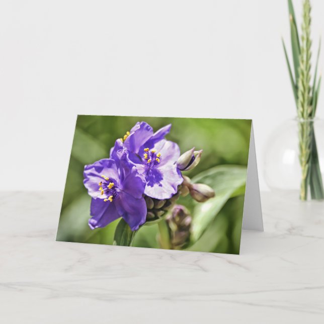 Cartão de Nota com Versículo Bíblico de Flor Selva (Frente)