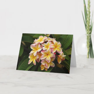 Cartão de nota da arte do Plumeria