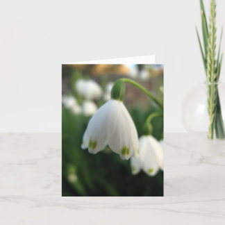Cartão de nota da flor da gota da neve