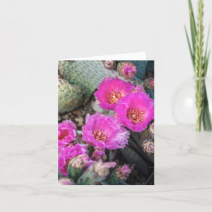 Cartão de Nota das Flores Fuchsia Cactus