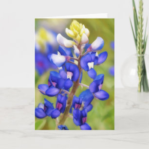 Cartão de Nota de Arte Azul-Flor do Texas Bluebonn