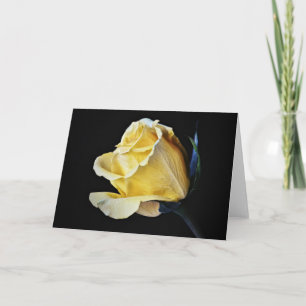 Cartão de Nota de Arte da Flor Rosa Amarelo