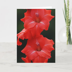 Cartão de Nota de Arte de Flores Vermelhas Altas