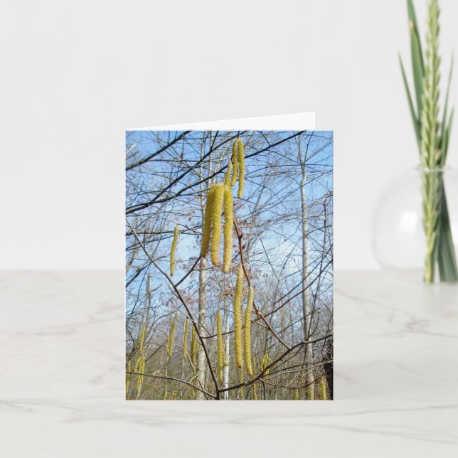 Cartão de Nota de Birch Catkins (Frente)