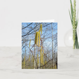 Cartão de Nota de Birch Catkins