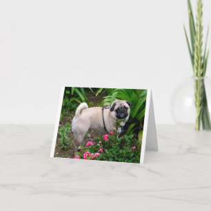 Cartão de Nota de Boas-Vindas com Cachorro Pug Fil