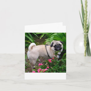 Cartão de Nota de Boas-Vindas com Cachorro Pug Fil