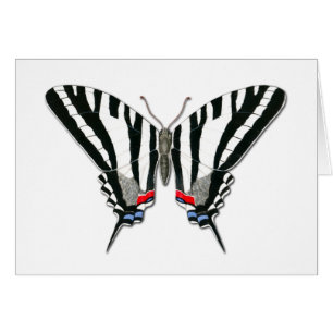Cartão de Nota de Borboleta de Swallowtail Zebra