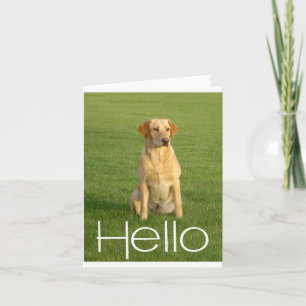 Cartão de Nota de Cachorrinhos Labrador Retriever