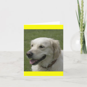 Cartão de Nota de Cachorro Filhote Golden Retrieve