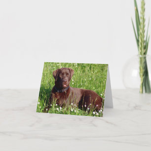 Cartão de Nota de Cachorro Filhote Labrador Retrie