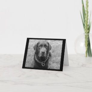 Cartão de Nota de Cachorro Filhote Labrador Retrie