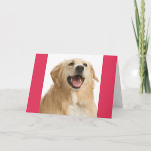 Cartão de Nota de Cachorro Filhote Retriever Amare