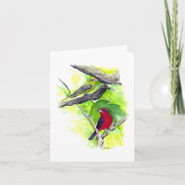 Cartão de Nota de Casal do Scarlet Tanager (Scarlet Tanager Couple Blank Note Cards from Jenn Steffen Art)