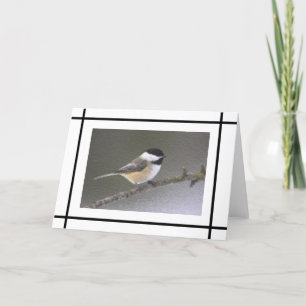 Cartão de Nota de Chickadee