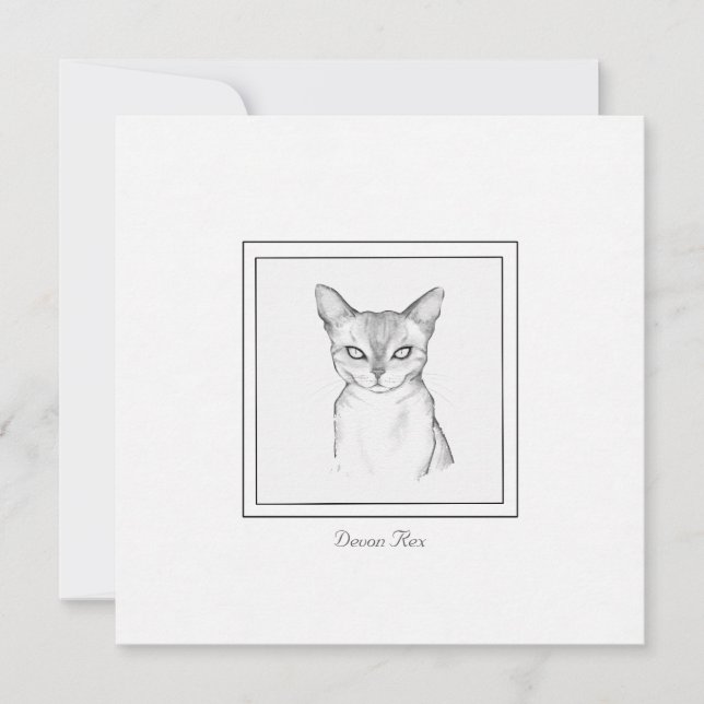 Cartão de Nota de Desenho do Giz Devon Rex Clássic (Frente)