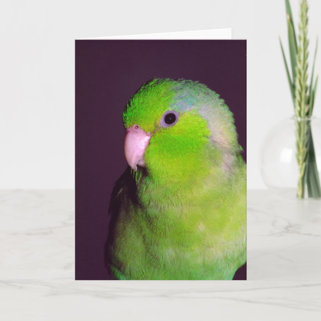 Cartão de Nota de Envio (Frente)