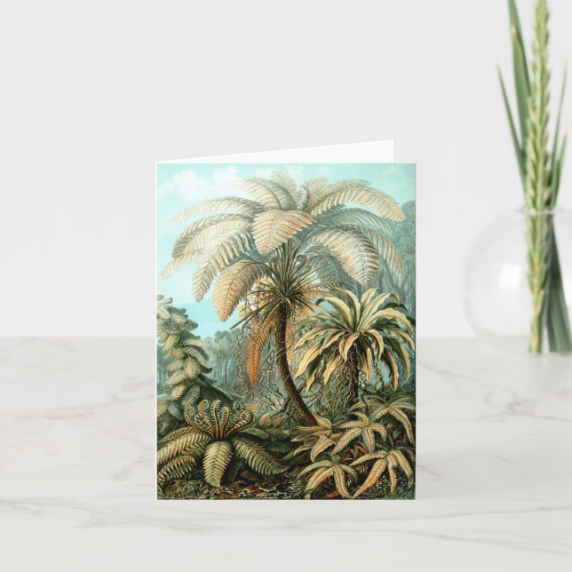 Cartão de Nota de Ernst Haeckel Filicinae (Tree Fe (Frente)