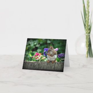 Cartão de nota de esquilo