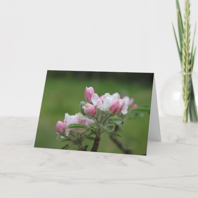 Cartão de nota de flor de maçã (Frente)