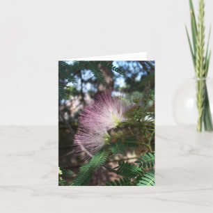 Cartão de Nota de Flor Mimosa