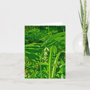 Cartão de Nota de Flor Selvagem de Salomão