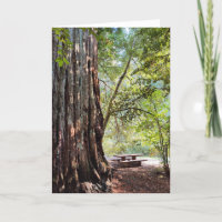 Cartão de Nota de Floresta Redwood