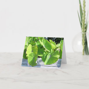Cartão de Nota de Folhas Botânicas