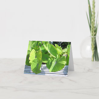 Cartão de Nota de Folhas Botânicas