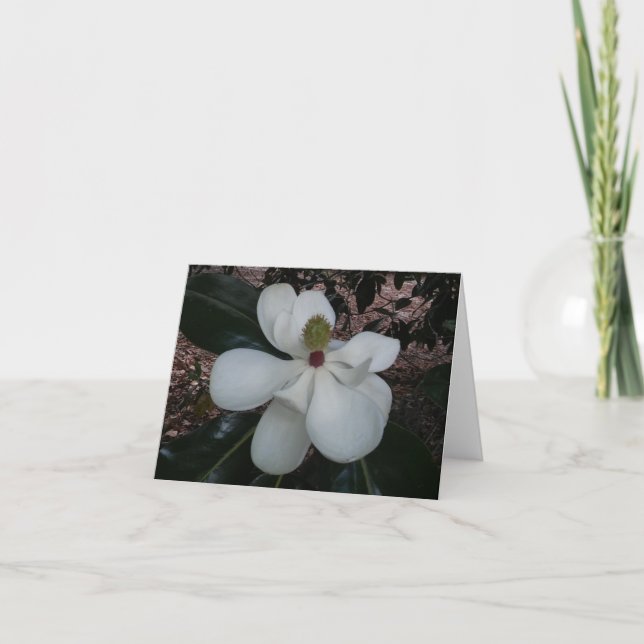 Cartão de Nota de Foto Dobrada com Flor Magnolia (Frente)