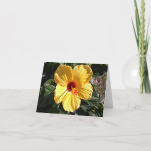 Cartão de Nota de Foto Dobrada de Hibiscus Amarelo