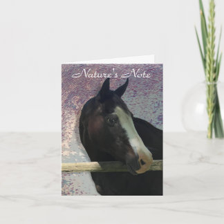 CARTÃO DE NOTA DE FOTOGRAFIA DO HORSE PORTRAIT