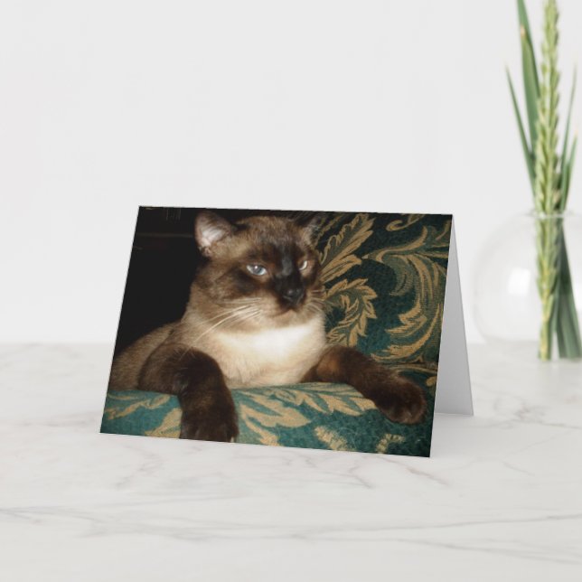 Cartão de Nota de Gato Siamês com Rosto Emburrado (Frente)