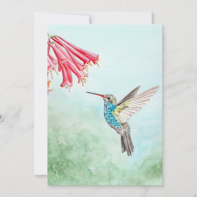 Cartão de Nota de Hummingbird (Frente)