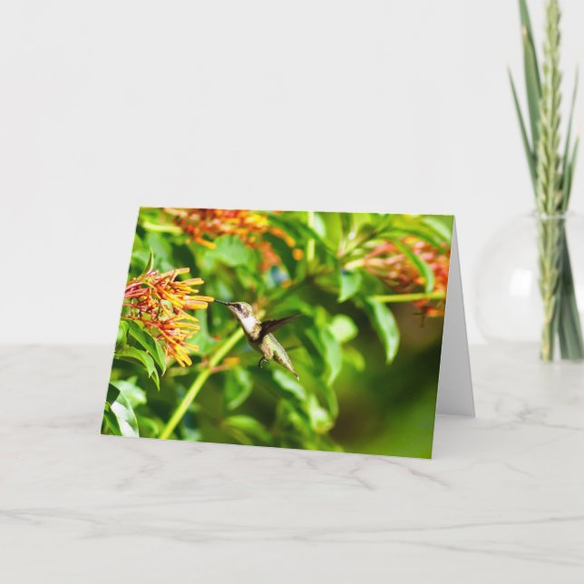 Cartão de Nota de Hummingbird<Blank Inside> (Frente)