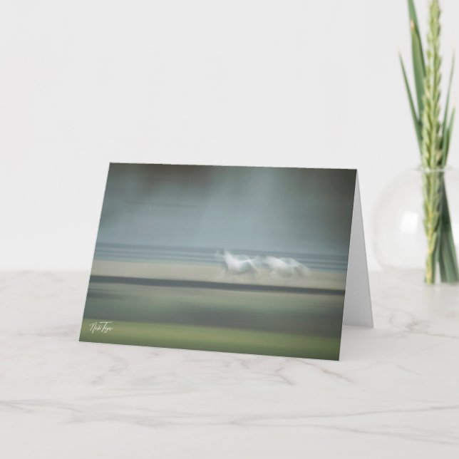 Cartão de nota de Ilusões de Equinos (Frente)