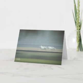 Cartão de nota de Ilusões de Equinos