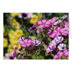 Cartão de nota de jardim de verão