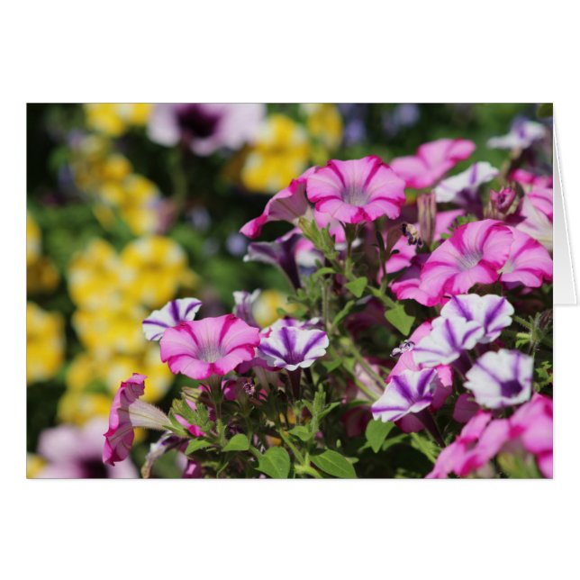 Cartão de nota de jardim de verão (Frente horizontal)