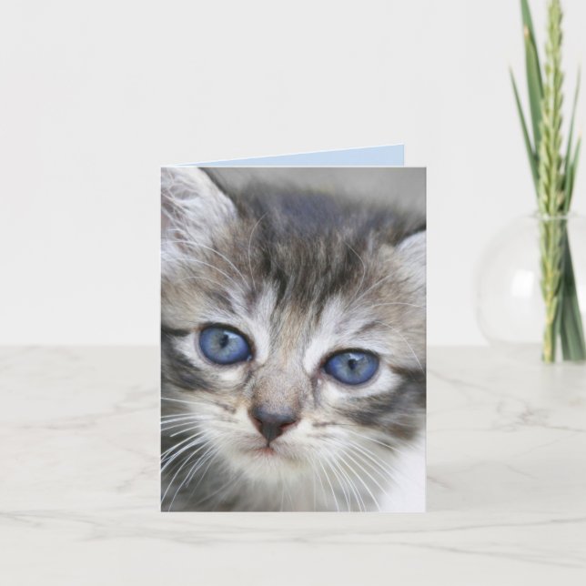 Cartão de Nota de Kitten (Frente)